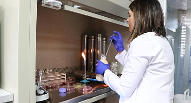 BOZUK GIDALAR RENK VERECEK