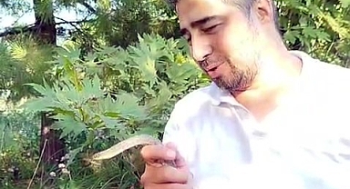 Elleriyle 1 Metrelik Yılanı Yakaladı