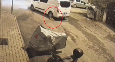 Ezdiği Kediye Aldırış Etmeden Yoluna Devam Etti