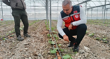Hatay’da TAKE Projesi Üreticilere Katma Değer Sağlıyor