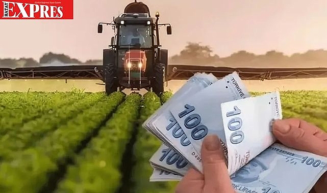 HATAY’DA TARIMA GÜÇLÜ DESTEK! ÇİFTÇİYE MAZOT DESTEĞİ GELİYOR