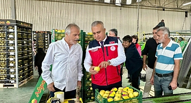 İhracatta Kalite ve Güven Denetimi