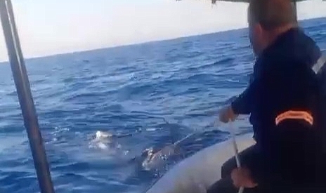 Köpekbalığı Balıkçılara Korku Dolu Anlar Yaşattı