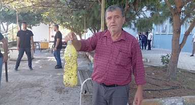 Lise Öğrencilerinden Pet Şişeli Tuzak