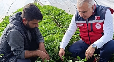 Örtü Altı Sebze Üreticilerine Ziyaret