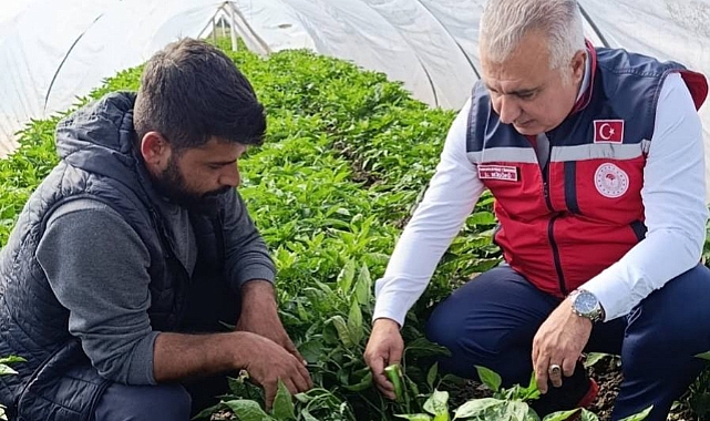 Örtü Altı Sebze Üreticilerine Ziyaret