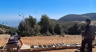 Saka Kuşları Özgürlüğüne Kavuştu