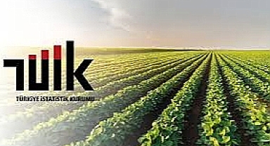 Tarımsal Girdi Fiyat Endeksi Yıllık %34,09 Arttı