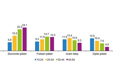 Türkiye’de Kadına Yönelik Şiddet Araştırması