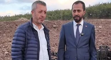 Yayladağı’nda Nergis Çiçeği Ekimi Başladı