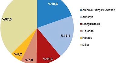 Yükseköğretim Mezunlarının Beyin Göçü Oranı %2,0 Oldu