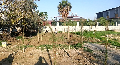 21 ŞEHİT İÇİN 21 FİDAN DİKİLDİ