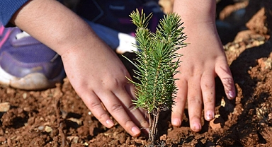 34 MİLYON FİDAN DİKİLDİ