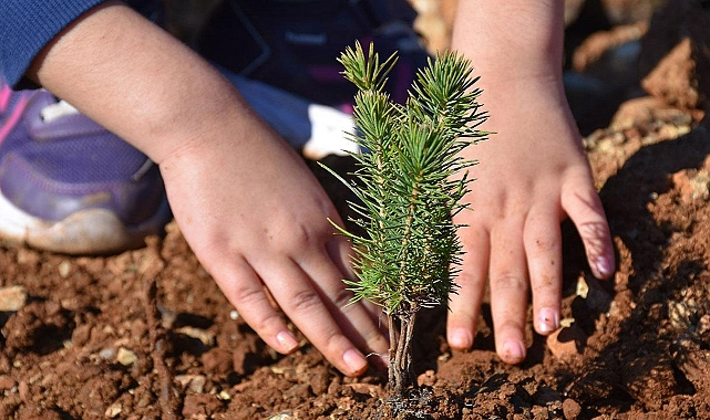 34 MİLYON FİDAN DİKİLDİ