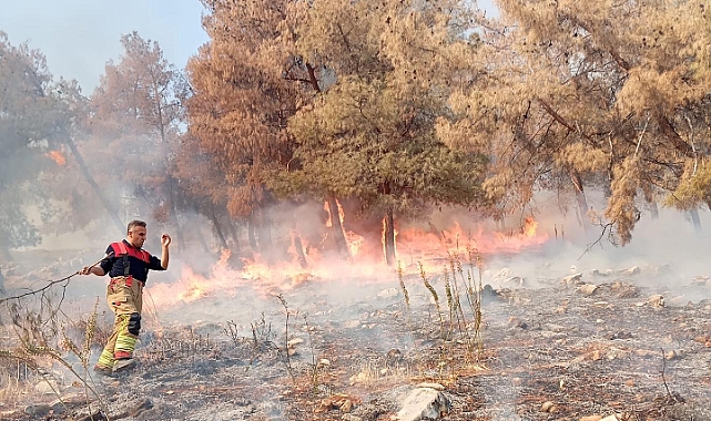 Antakya’da Orman Yangını Korkuttu