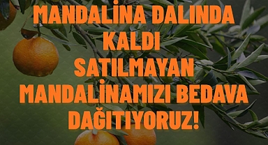 Çiftçiler Ürününü Satamadı, Halkla Paylaşıyor