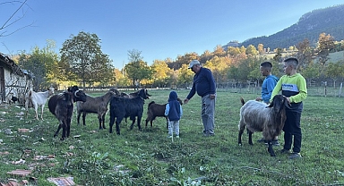 Çoban mesleğini ikiz torunlarına da öğretmeye çalışıyor