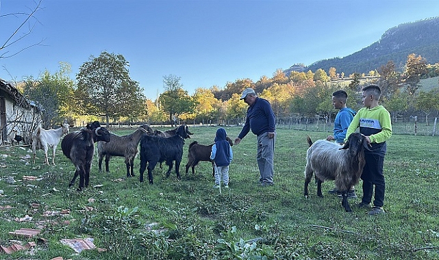 Çoban mesleğini ikiz torunlarına da öğretmeye çalışıyor