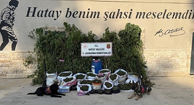 Çok Miktarda Uyuşturucu Ele Geçirildi