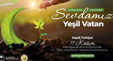 Hatay’da Ağaçlandırma Seferberliği