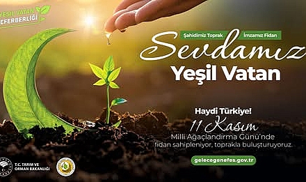 Hatay’da Ağaçlandırma Seferberliği