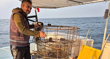 Hatay’da Denizler İçin Seferberlik