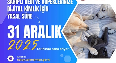 Hatay’da Kedi ve Köpeklerde Kimliklendirme Süreci