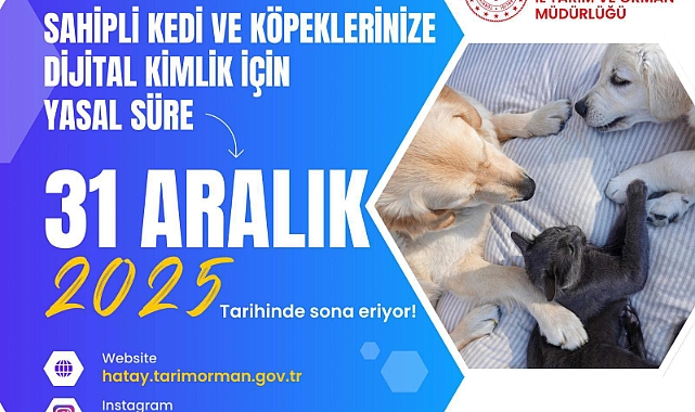 Hatay’da Kedi ve Köpeklerde Kimliklendirme Süreci