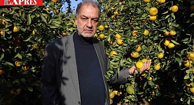 HATAY’DA MANDALİNA KRİZİ SOKAKLARA TAŞMAYA DEVAM EDİYOR!