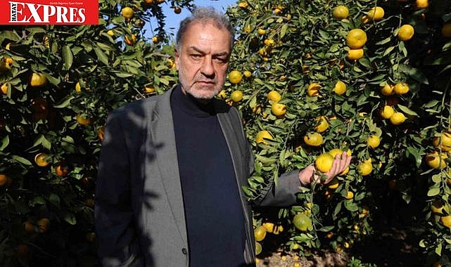 HATAY’DA MANDALİNA KRİZİ SOKAKLARA TAŞMAYA DEVAM EDİYOR!