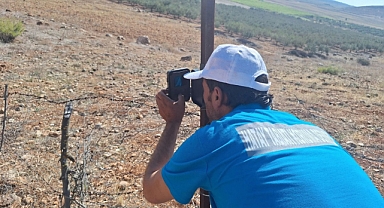 Hatay’da Nesli Tehdit Altındaki Türler İçin Umut Projesi 