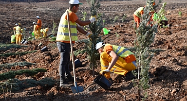 HEDEFTE 550 MİLYON FİDAN