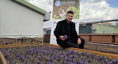 Her Yer Permakültür Alanına Dönüşebilir