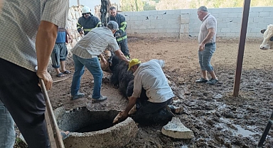 Kuyuya Düşen İneği İtfaiye Kurtardı