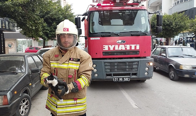 Mahsur Kalan Hayvanlar Güvenle Doğaya Bırakıldı