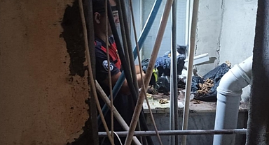 Mahsur Kalan Yavru Kediyi İtfaiye Kurtardı