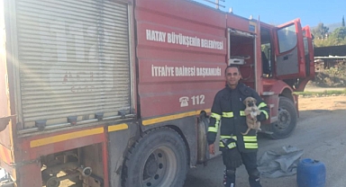 Mahsur Kalan Yavru Köpeği İtfaiye Kurtardı