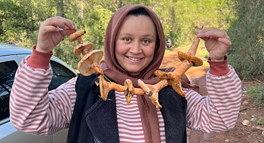 Ormanlık alandan toplanan mantar geçim kapısı oldu