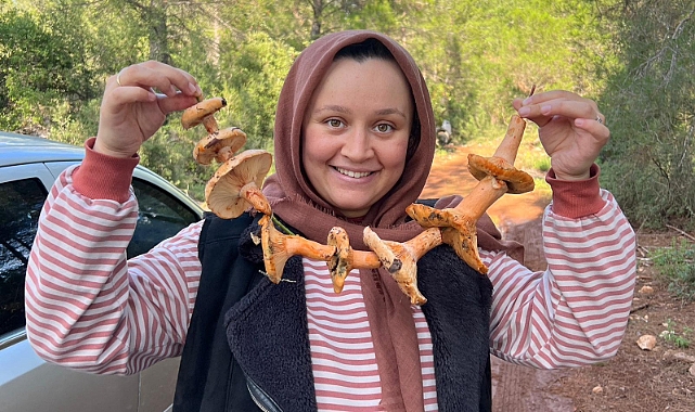 Ormanlık alandan toplanan mantar geçim kapısı oldu