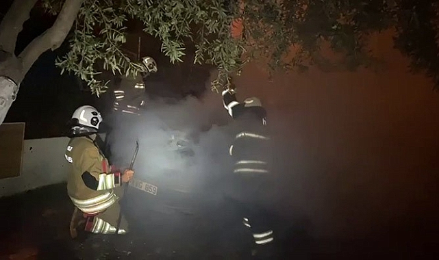 Park Halindeki Otomobil Alevlere Teslim Oldu