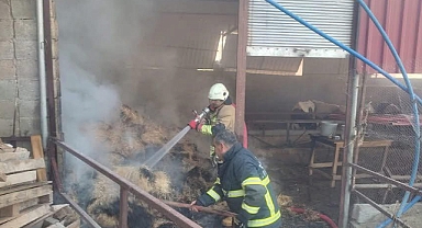 Samanlık Yangını Kısa Sürede Söndürüldü