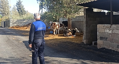 Şikayet ve Taleplere Anında Müdahale