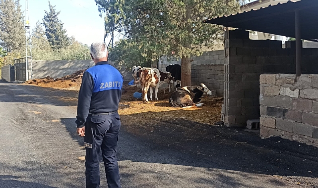 Şikayet ve Taleplere Anında Müdahale