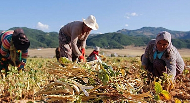 Tarımsal Girdilerde Fiyat Artışı Durdurulamıyor