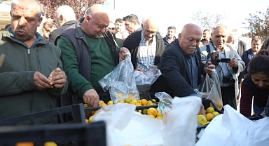 Tonlarca Mandalina Ücretsiz Dağıtıldı 