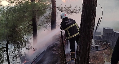 Üç Farklı Noktada Orman Yangını 