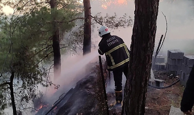 Üç Farklı Noktada Orman Yangını