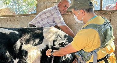 Veteriner Ekipleri Sahada Aralıksız Çalışıyor