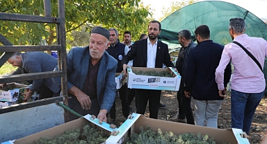 Yerel Üreticiye Fide Desteği