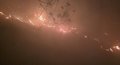 Yıldırım Düşmesi Sonucu Orman Yangını Çıktı